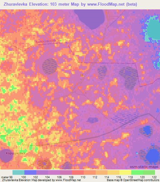 Zhuravlevka,Russia Elevation Map