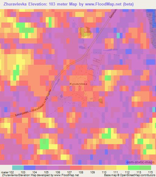 Zhuravlevka,Russia Elevation Map
