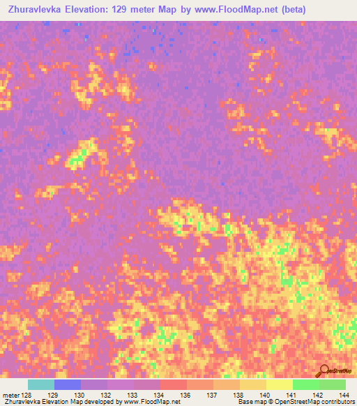 Zhuravlevka,Russia Elevation Map