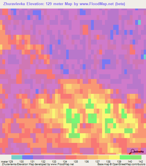 Zhuravlevka,Russia Elevation Map