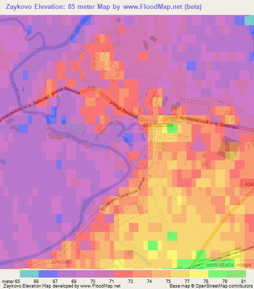 Zaykovo,Russia Elevation Map