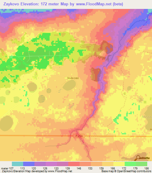 Zaykovo,Russia Elevation Map