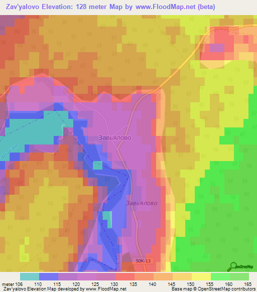 Zav'yalovo,Russia Elevation Map