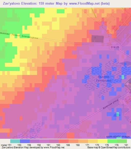 Zav'yalovo,Russia Elevation Map