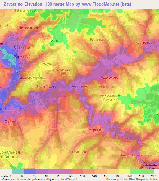 Zavarzino,Russia Elevation Map