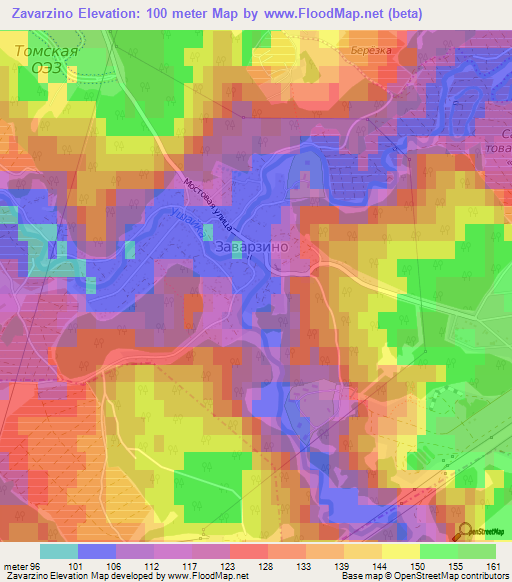 Zavarzino,Russia Elevation Map