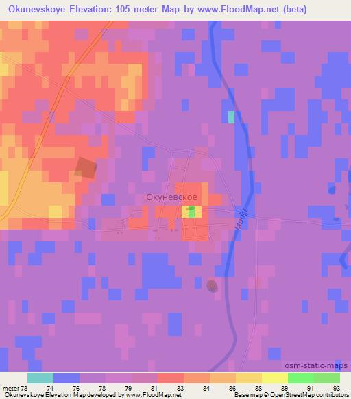Okunevskoye,Russia Elevation Map