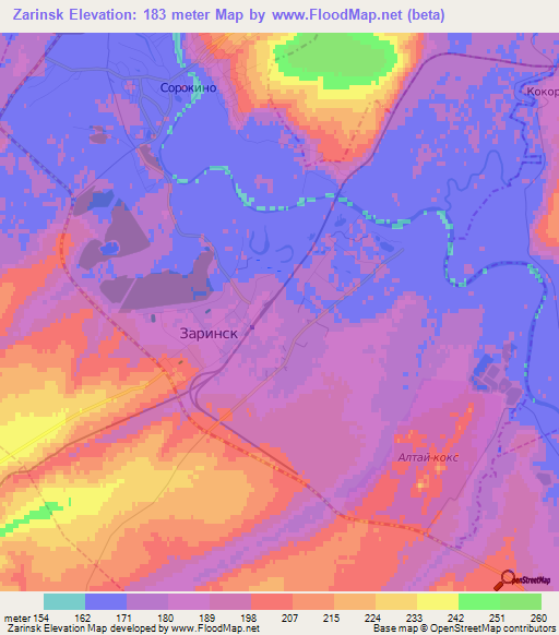 Zarinsk,Russia Elevation Map