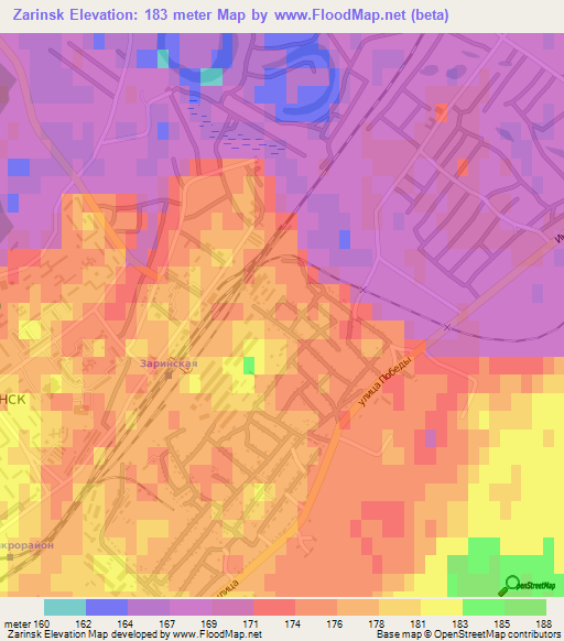 Zarinsk,Russia Elevation Map