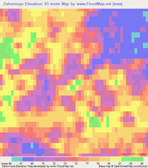 Zalomnoye,Russia Elevation Map