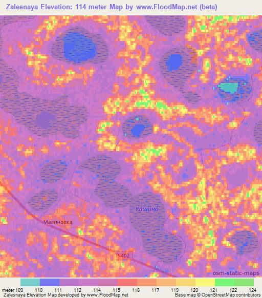 Zalesnaya,Russia Elevation Map