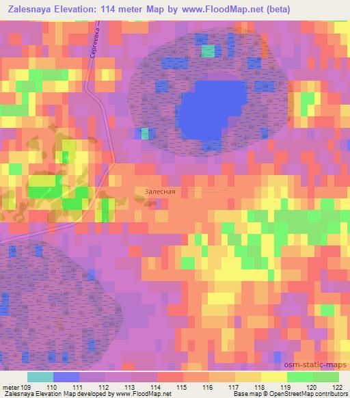 Zalesnaya,Russia Elevation Map