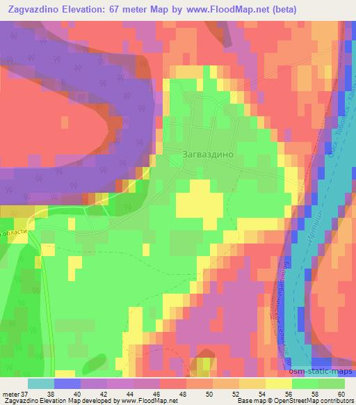 Zagvazdino,Russia Elevation Map