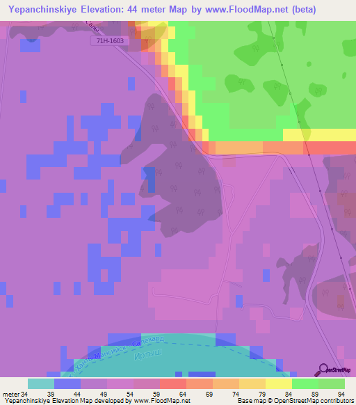 Yepanchinskiye,Russia Elevation Map