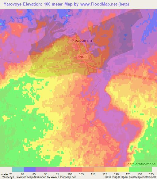 Yarovoye,Russia Elevation Map