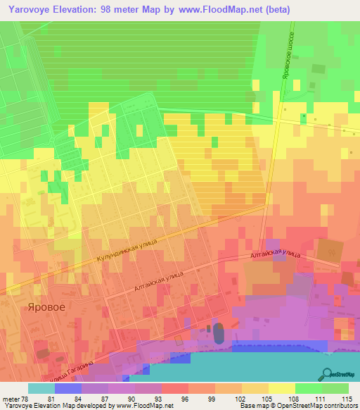 Yarovoye,Russia Elevation Map