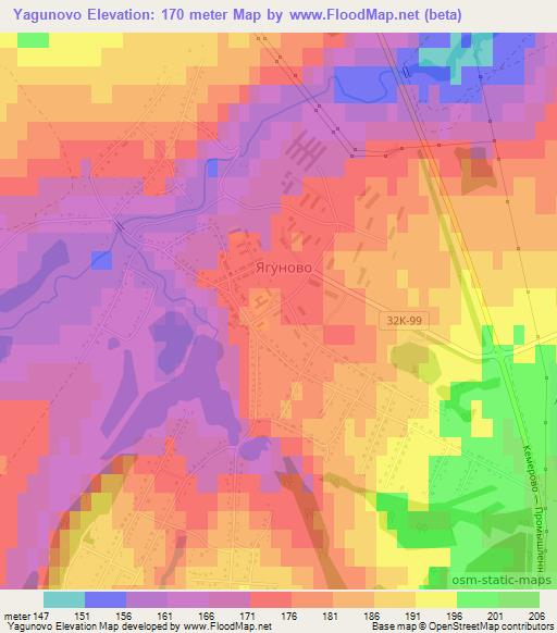 Yagunovo,Russia Elevation Map