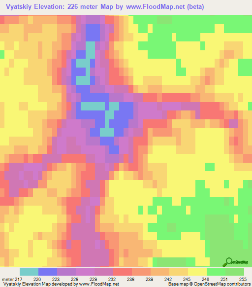 Vyatskiy,Russia Elevation Map