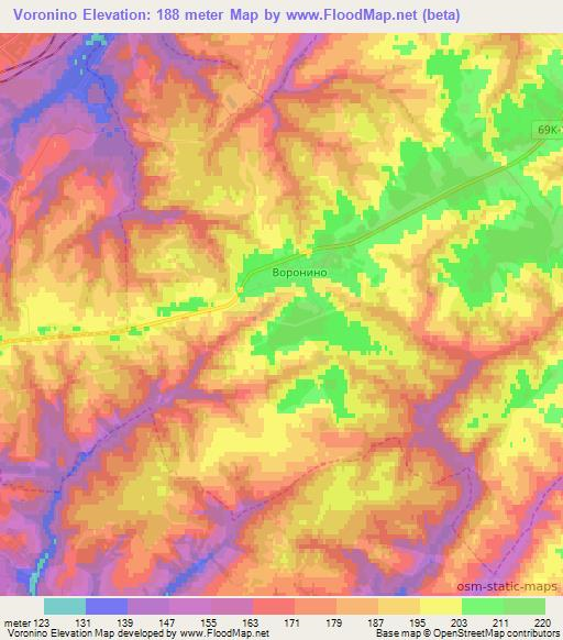 Voronino,Russia Elevation Map