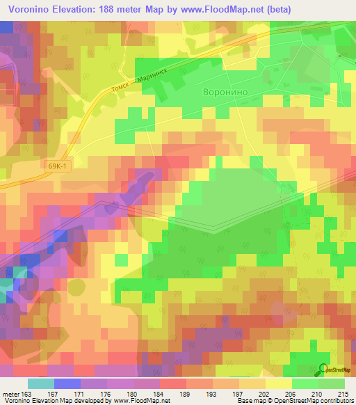 Voronino,Russia Elevation Map