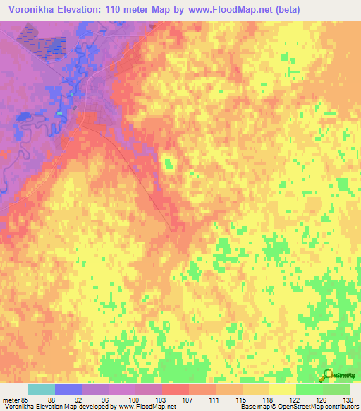 Voronikha,Russia Elevation Map