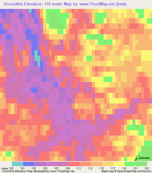 Voronikha,Russia Elevation Map