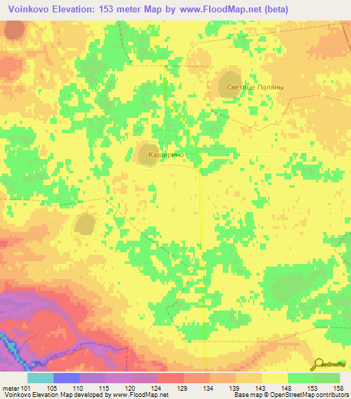 Voinkovo,Russia Elevation Map