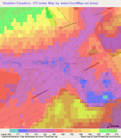 Vlasikha,Russia Elevation Map