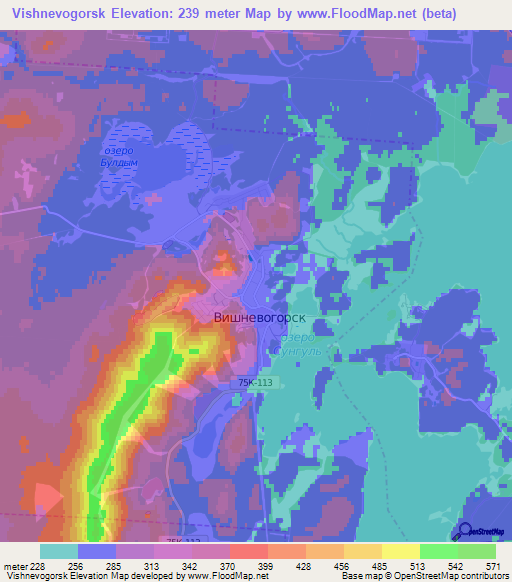 Vishnevogorsk,Russia Elevation Map