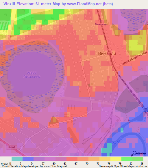 Vinzili,Russia Elevation Map