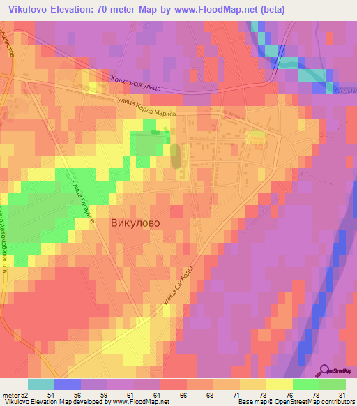 Vikulovo,Russia Elevation Map