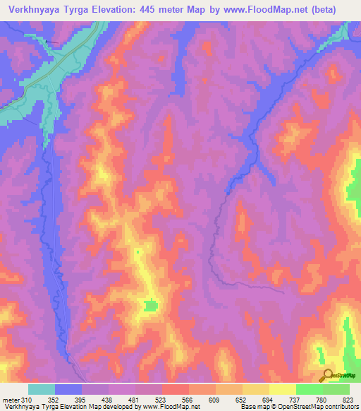 Verkhnyaya Tyrga,Russia Elevation Map