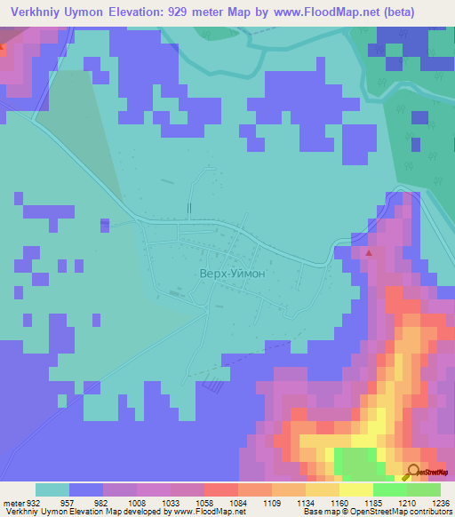 Verkhniy Uymon,Russia Elevation Map