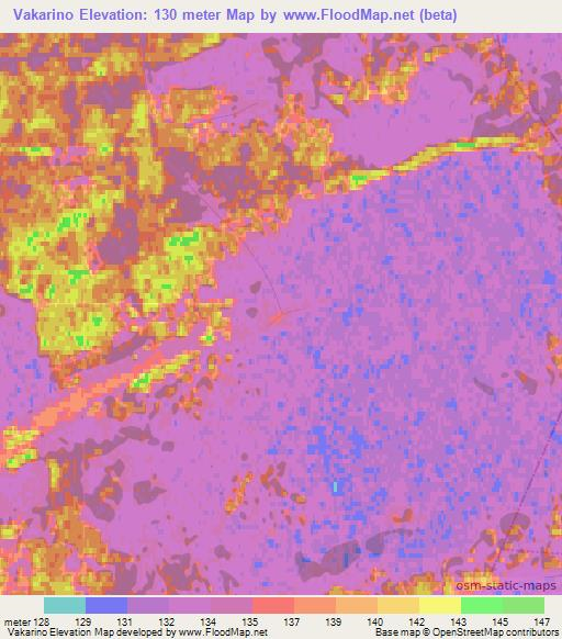 Vakarino,Russia Elevation Map