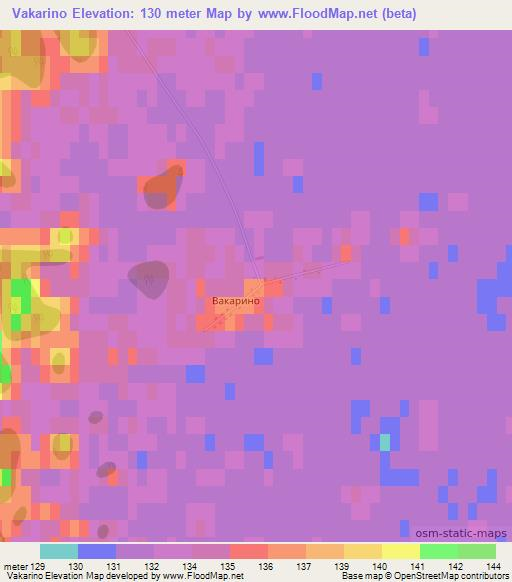 Vakarino,Russia Elevation Map