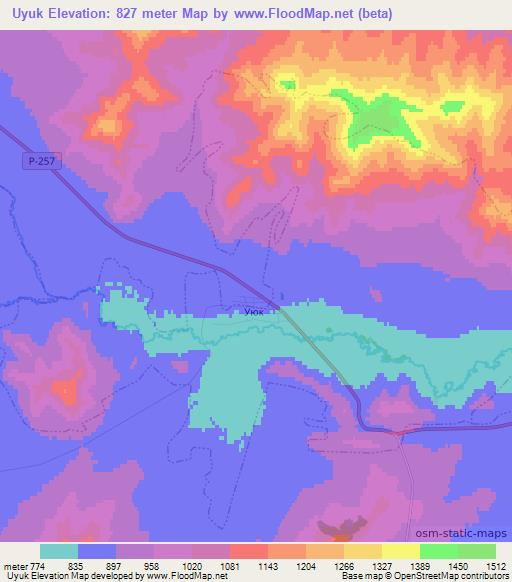 Uyuk,Russia Elevation Map