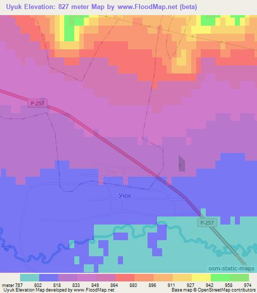 Uyuk,Russia Elevation Map