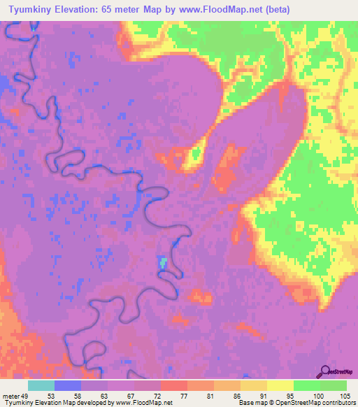 Tyumkiny,Russia Elevation Map