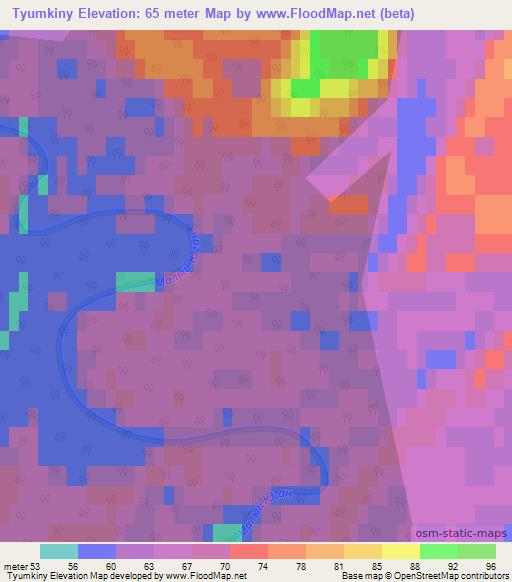 Tyumkiny,Russia Elevation Map