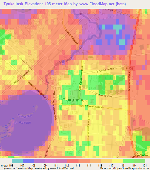 Tyukalinsk,Russia Elevation Map