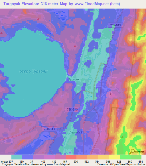 Turgoyak,Russia Elevation Map