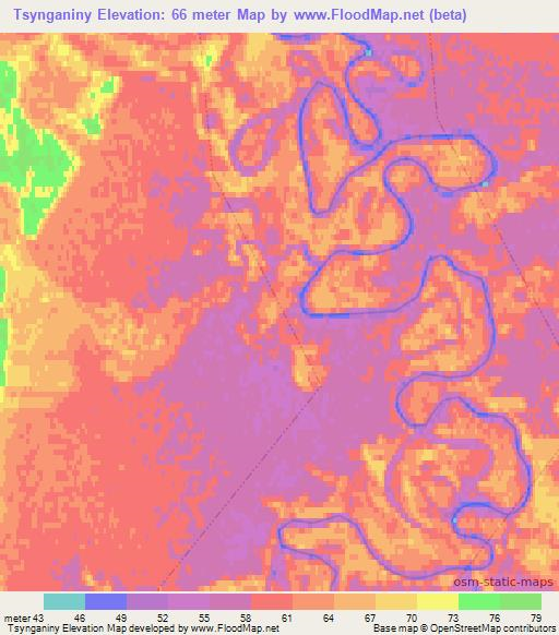 Tsynganiny,Russia Elevation Map