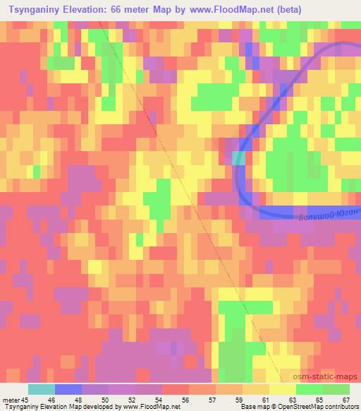 Tsynganiny,Russia Elevation Map