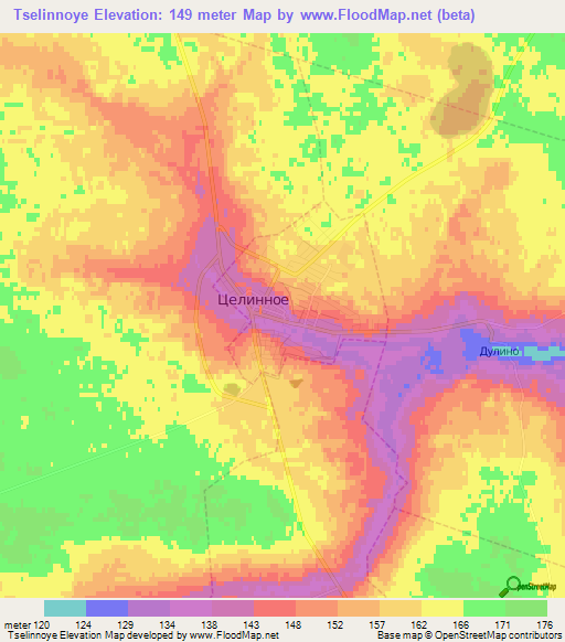 Tselinnoye,Russia Elevation Map