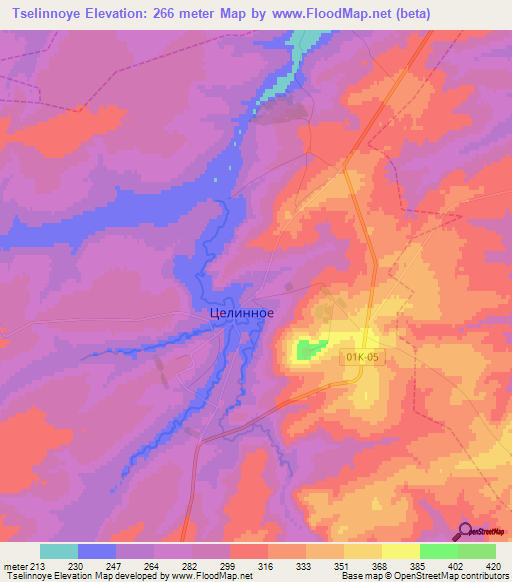 Tselinnoye,Russia Elevation Map