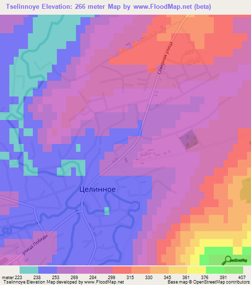 Tselinnoye,Russia Elevation Map