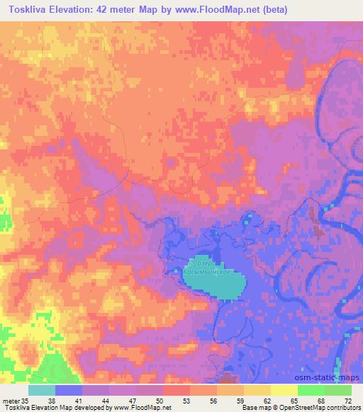 Toskliva,Russia Elevation Map