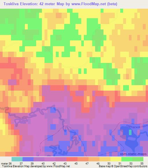 Toskliva,Russia Elevation Map