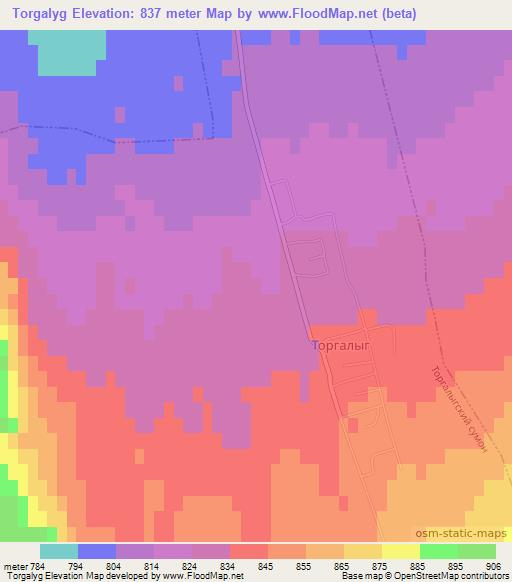 Torgalyg,Russia Elevation Map