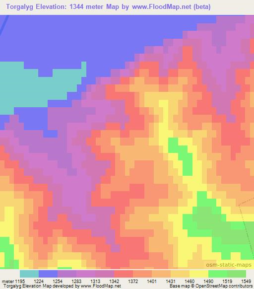 Torgalyg,Russia Elevation Map